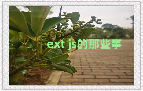 ext js的那些事